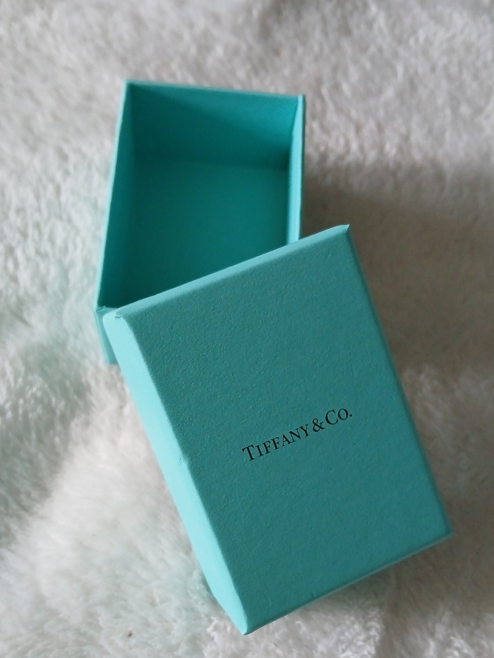 Tiffany & Co. Robin's Egg Blue Jewelry Gift Box + Lid